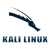 Kali Install 2025.3 Bootable DVD